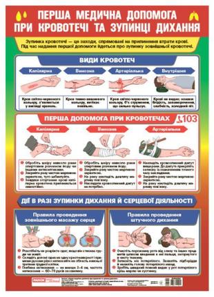 Плакат перша медична допомога при кровотечі та зупинці дихання ранок