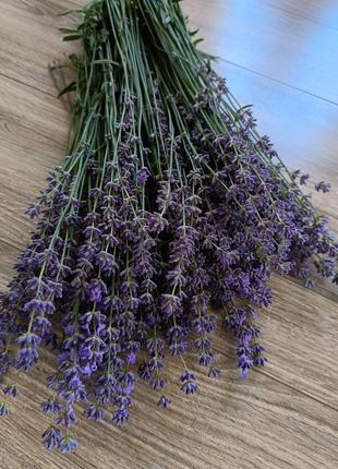 Букет лаванди