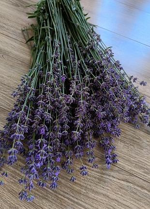 Букет лаванди
