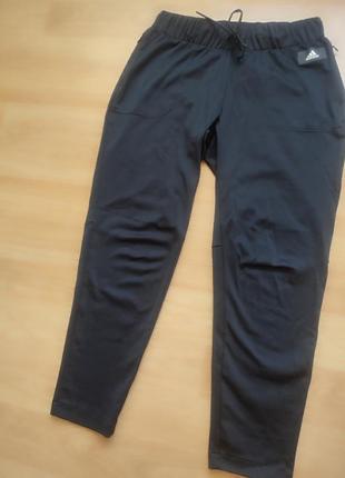 Женские спортивные штаны