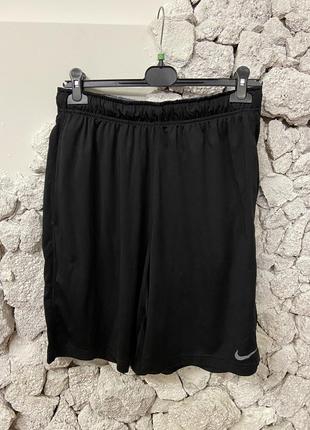 Мужские шорты nike