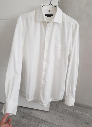 Базова біла сороска