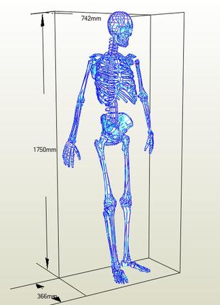 Paperkhan сборная модель фигура пазл череп скилет паперкрафт papercraft подарок сувернир игрушка конструктор