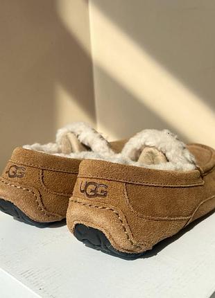 Угги оригінал чоловічі тапочки мокасіни ugg