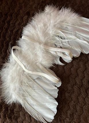 Крылья крылышки для фотосессии