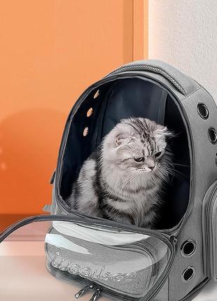 Рюкзак-переноска для кошек taotaopets 251103 panoramic с прозрачным окном gray5 фото