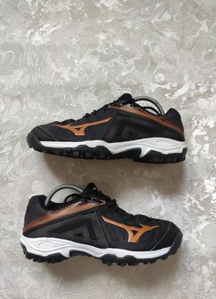 Кросівки mizuno wave lynx10 фото