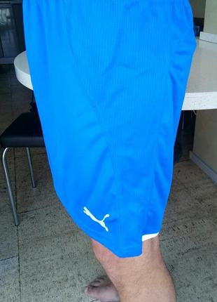 puma powercat 1.1 indoor shorts 850 166569245 PUMA NEIL BARRETT PROJECT 10