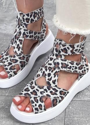 Босоніжки 🐆замша