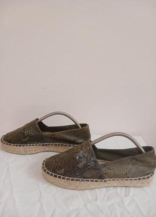 Ескадрильї зміїні