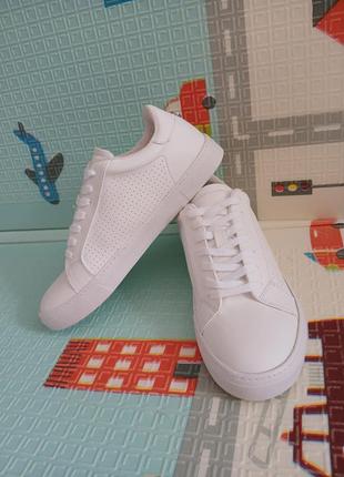 Кросівки-кеди steve madden оригінал