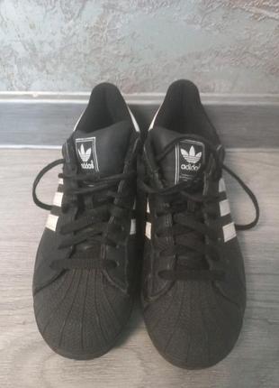 Кроссовки hobby adidas