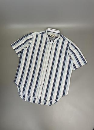 Стильна легка біла теніска peter christian в смужку, блакитна, синя, пітер крістіан, гавайка, гавайська пляжна сорочка