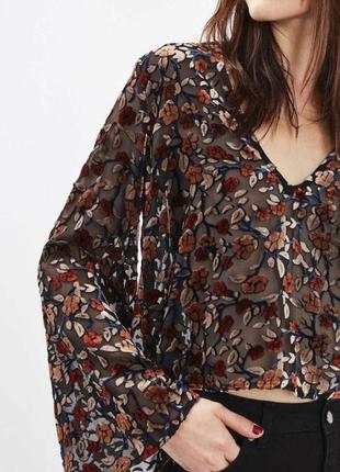 Жіноча блуза з бархатним принтом topshop розмір xs