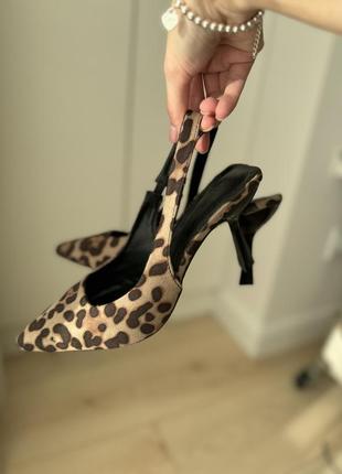 Леопардові босоніжки, туфлі