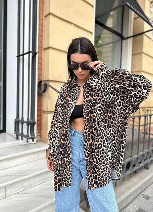 Джинсівка леопардова