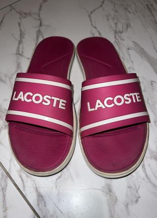 Шльопанці lacoste жіночі