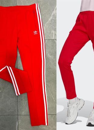 Красные штаны adidas червоні штани adidas1 фото