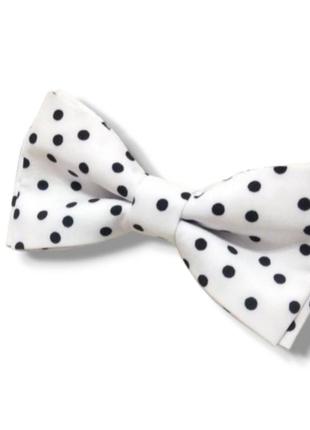 Стильний метелик з принтом горох. краватка метелик. метелик.