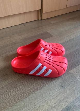 Новые сланцы adidas