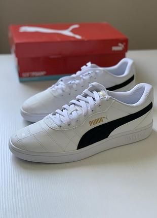 Puma smash