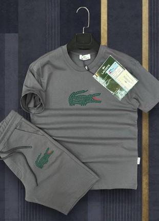 Брендовий чоловічий комплект / якісний комплект lacoste в сірому кольорі на літо