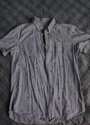 Сорочка літня чоловіча