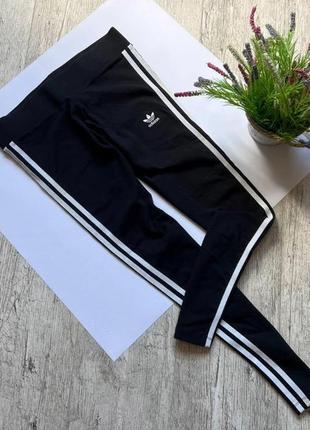 Adidas aj8156 sale