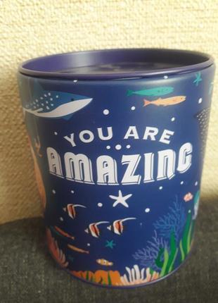 Копилка you are amazing money box