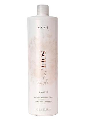Шампунь для фарбованого волосся brae soul color shampoo 1л