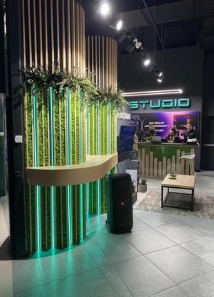 Декоративное озеленение интерьера магазина с использованием стабилизированного мха "ягель"