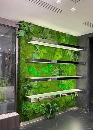 Декоративное оформление стены с полками, мхом и растениями стабилизированными для интерьера