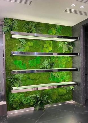 Оформление стены стабилизированным мхом и растениями для современного интерьера