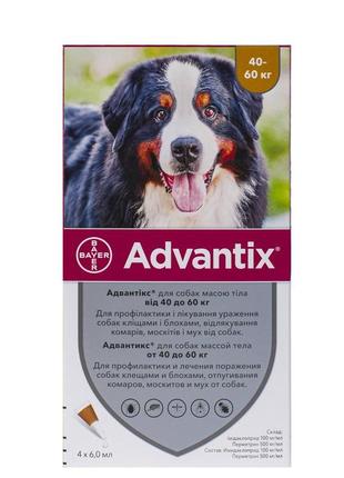 Краплі bayer адвантикс проти заражень екост паразитами для собак понад 40-60 кг 4 піпетки (4007221048947)