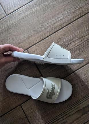 Шлепанцы lacoste оригинал