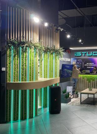 Создание зелёного пространства в магазине с применением стабилизированного мха "ягель" для уникального дизайна