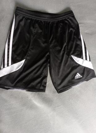 Спортивні шорти adidas