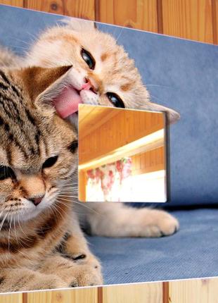 Декоративне дзеркало з кошенятами «друзі» для любителів домашніх улюбленців, прикраса інтер'єру, подарунок