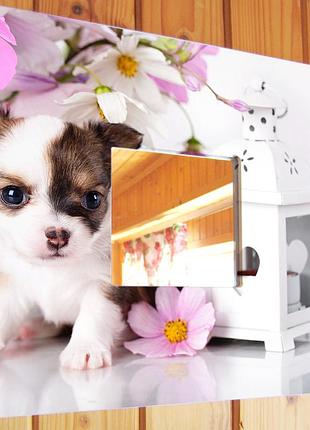 Декоративное зеркало интерьерное настенное или настольное "щенок чихуахуа в цветах" для спальни, подарок