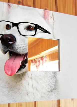 Декоративное зеркало "собака в очках" декор для оптики, офиса, спальни, эксклюзивный подарок любителям песиков