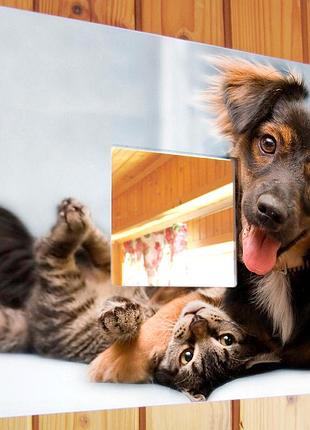 Декоративне дзеркало «собака і кіт - друзі» для любителів домашніх улюбленців, прикраса подарунок у спальню