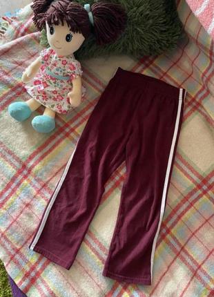 Новые бордовые спортивные штаны брюки с лампасами