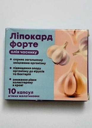 Липокард форте (ліпокард) укрепление организма, снижение холестерина, 10 капс