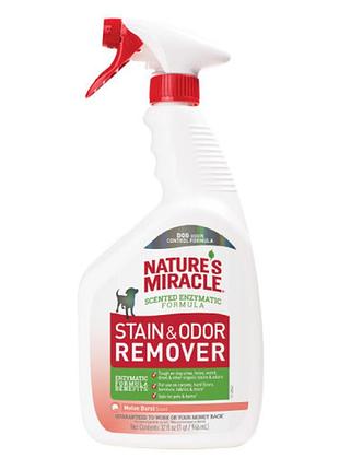 Спрей 8in1 nm dog stain&odor remover spray melon для устранения пятен и запахов, с ароматом дыни, 946 мл