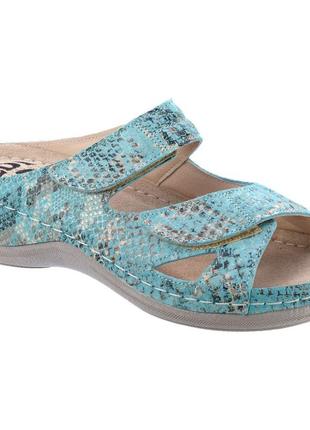 Шлепанцы анатомические ledi anatomic 433 (бирюзовый/рептилия, 36)