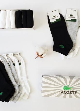 Мужские короткие носки набор lacoste 9 пар. летние носки низкие мужские лакосте. комплект носков для мужчин1 фото