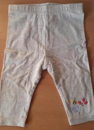 Штанишки серые 6 9 мес для новорожденных tu легинсы детские серые ползунки малыш шаровары трикотаж бриджи штаны джогеры
