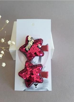 Заколки для волосся, набір з двох штук