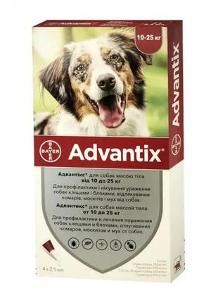 Advantix капли от блох и клещей для собак весом 10-25кг 1амп.2,5мл