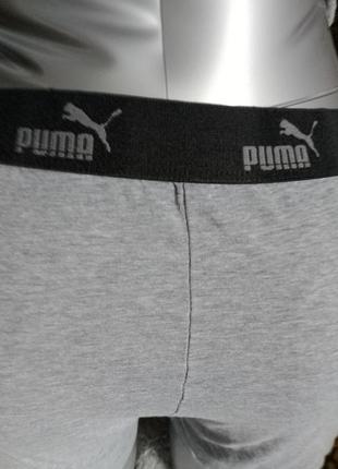 Puma3 фото